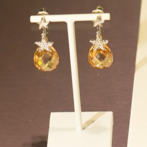 Crystal Dangle Earring Set